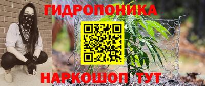 скорость Пугачёв