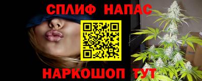 скорость Пугачёв