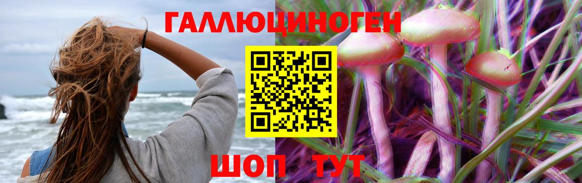 где можно купить наркотик  Галлюциногенные грибы Psilocybe  Белореченск  Вход с VPN  Псилоцибиновые грибы ЛСД 